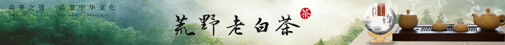 荒野老白茶
