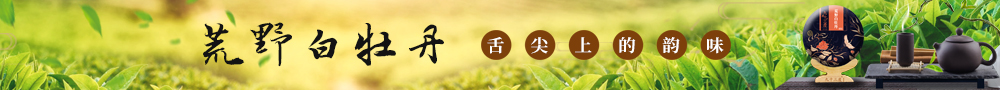 荒野白牡丹
